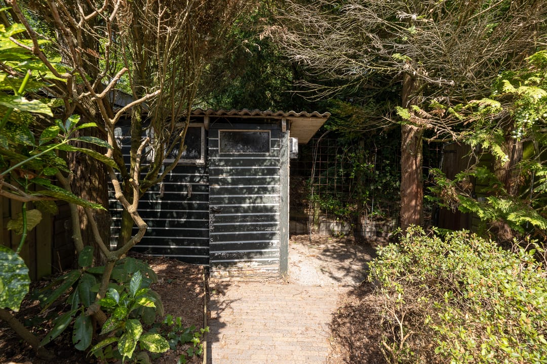 Foto 41 van Lijzij 98