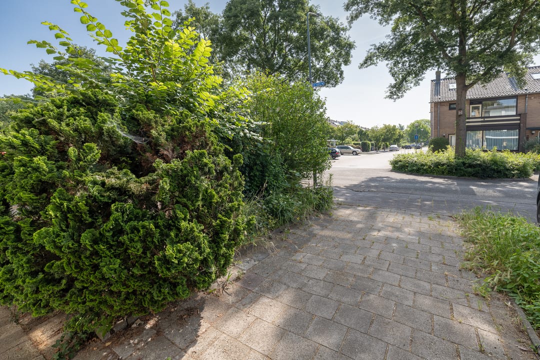 Foto 43 van Lijzij 98