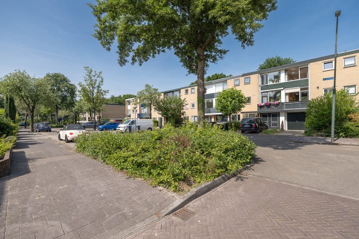 Foto 46 van Lijzij 98