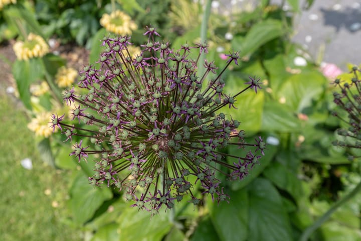 Photo 71 of Watersnip 34