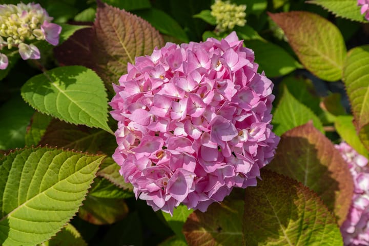 Photo 73 of Watersnip 34