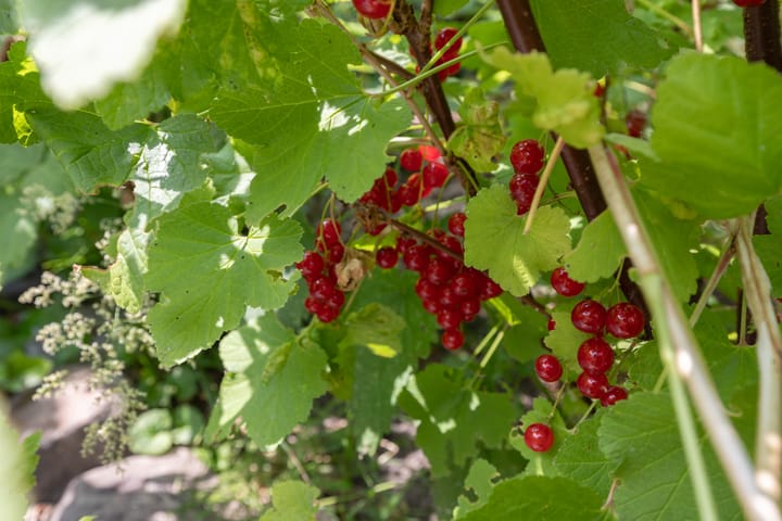 Photo 79 of Watersnip 34