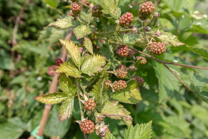 Photo 80 of Watersnip 34