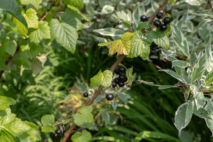 Photo 81 of Watersnip 34