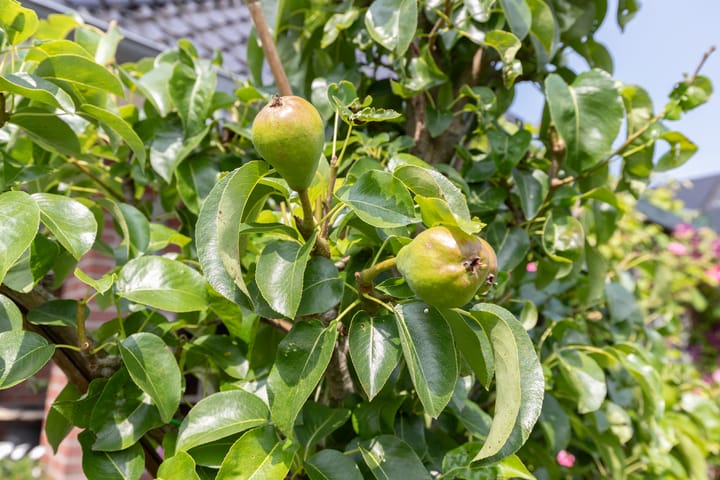 Photo 82 of Watersnip 34