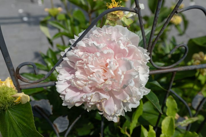 Photo 86 of Watersnip 34