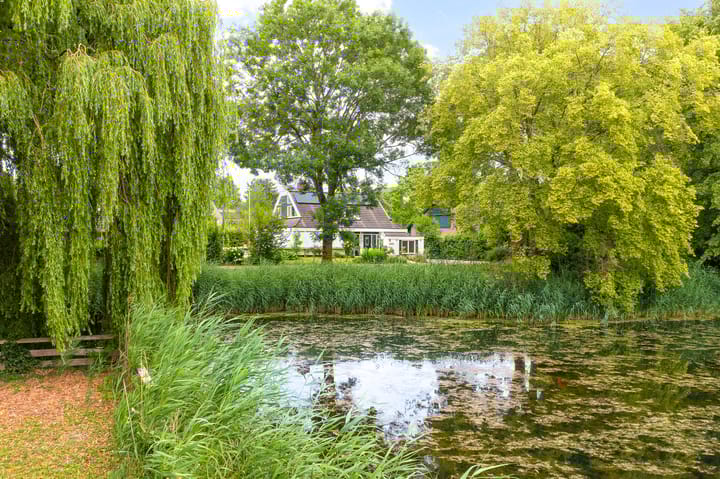 Foto 1 van Punter 26 16