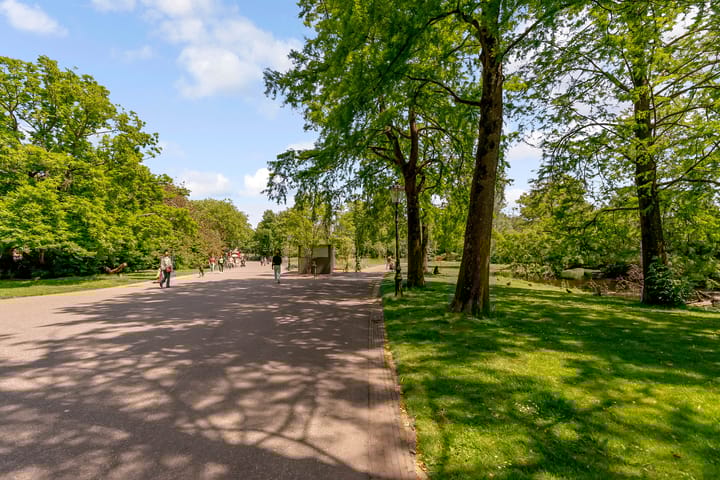 Foto 30 van Boerhaaveplein 73