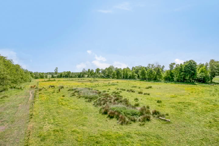 Foto 2 van Breewei 22