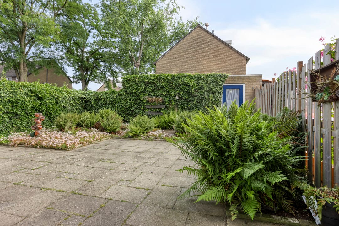 Foto 22 van Oderstraat 2