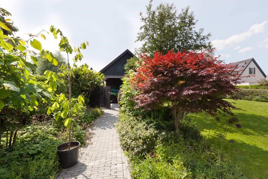 Foto 41 van Dopsingel 47