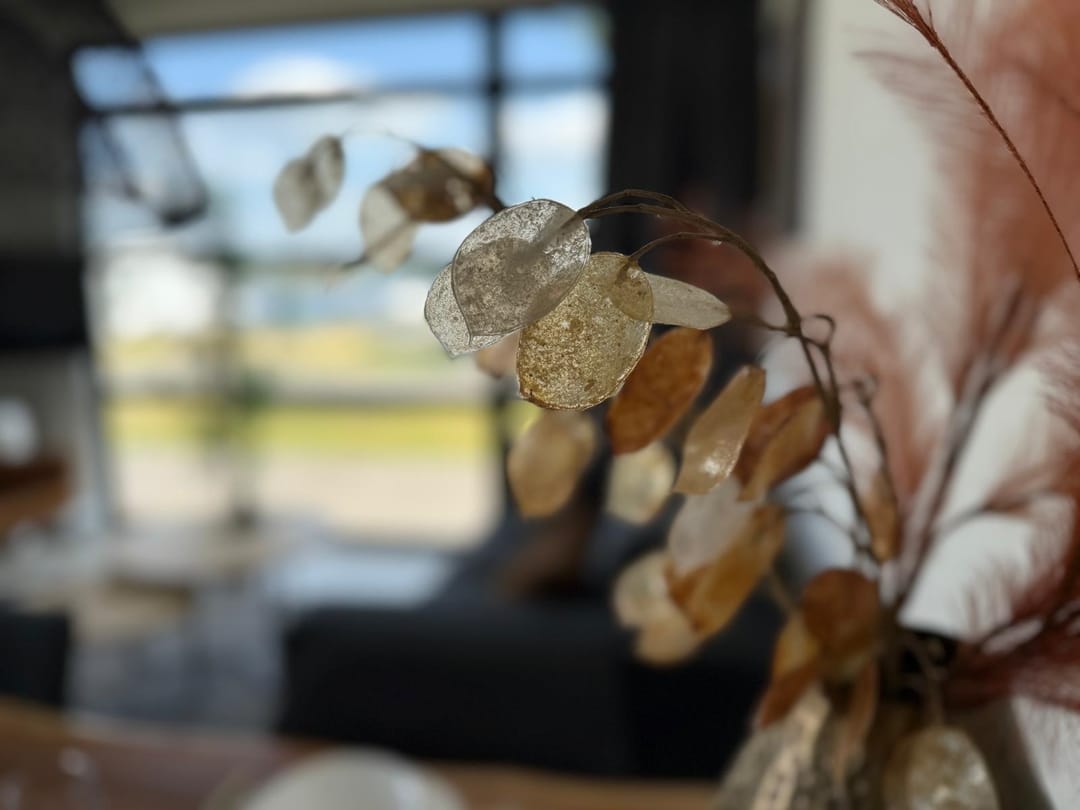 Foto 11 van Rijnbandijk 36-95