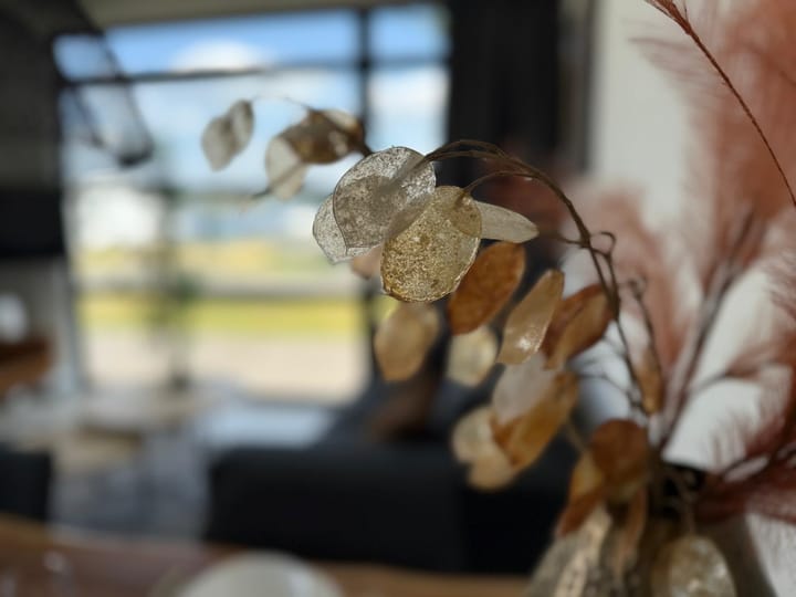 Photo 11 of Rijnbandijk 36-95