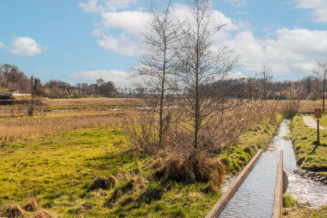 Foto 31 van Europalaan 85