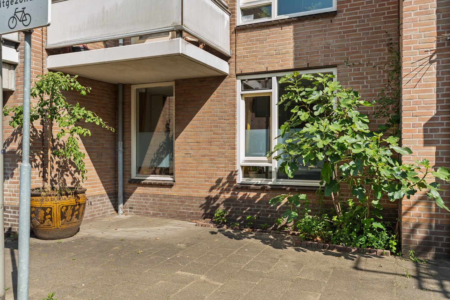 Patersstraat 49 main image