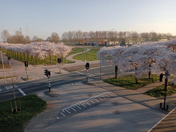 Photo 41 of Mahoniestraat 1