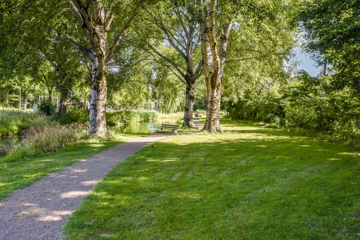 Photo 24 of Eenhoorn 54