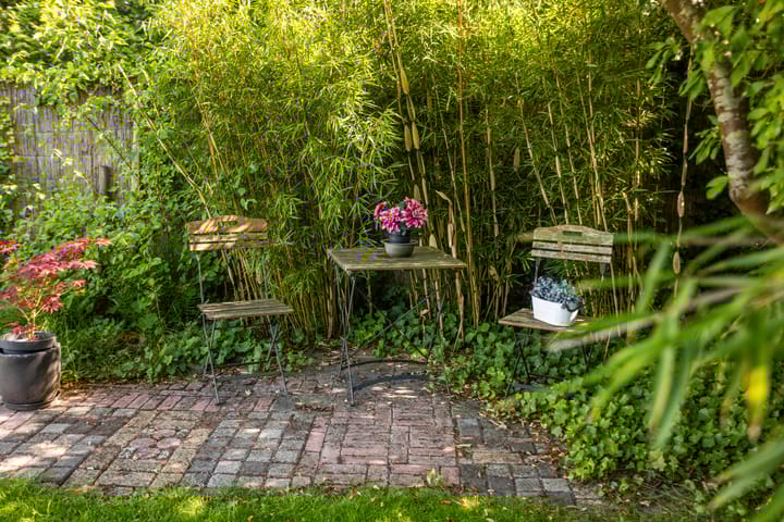 Foto 39 van Sudermuda 12