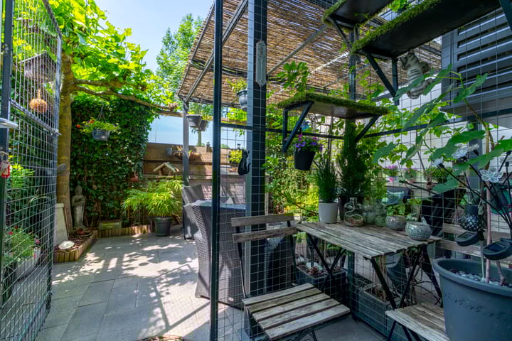 Foto 21 van Wiericke 85