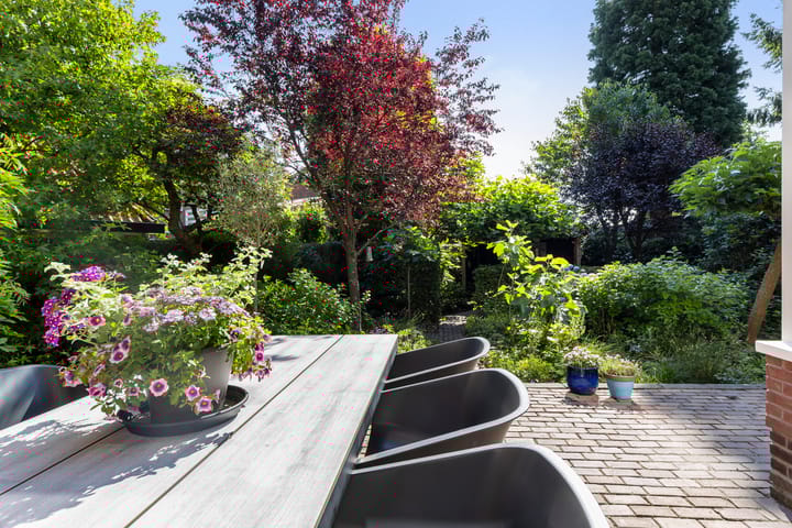 Foto 17 van Staringlaan 1