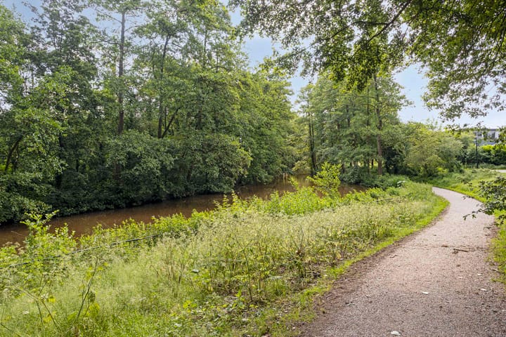 Foto 41 van Schrijnwerkershorst 229