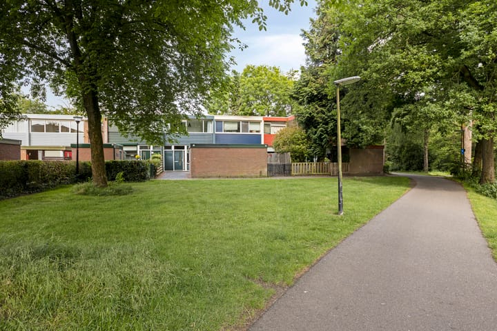 Foto 42 van Schrijnwerkershorst 229