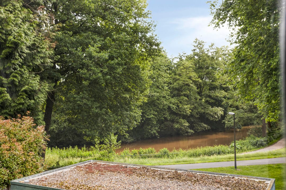 Photo 43 of Schrijnwerkershorst 229