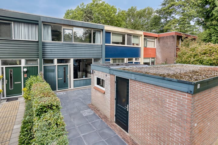 Foto 38 van Schrijnwerkershorst 229