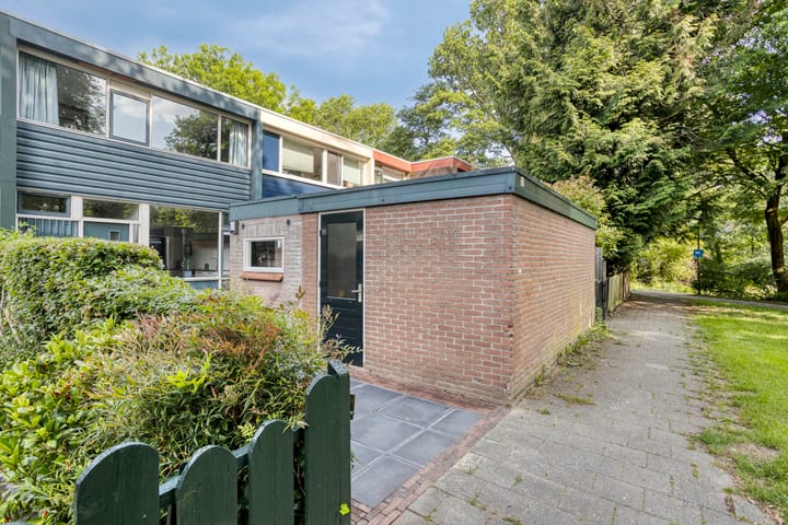 Foto 40 van Schrijnwerkershorst 229