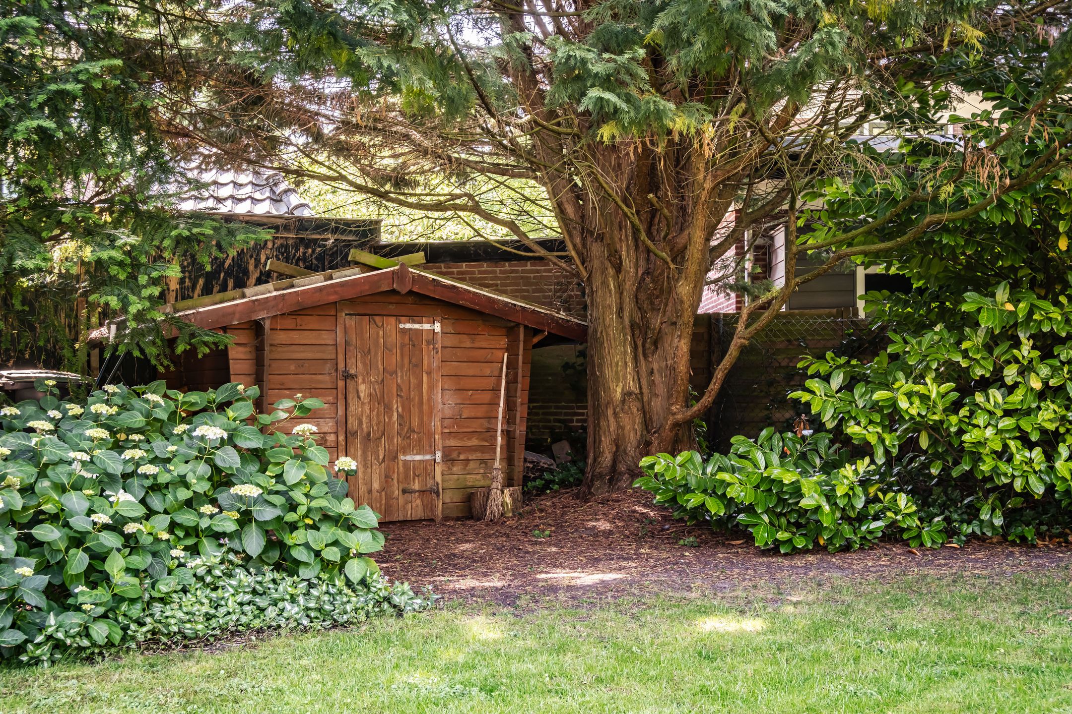 Foto 33 van Teding van Berkhoutlaan 51