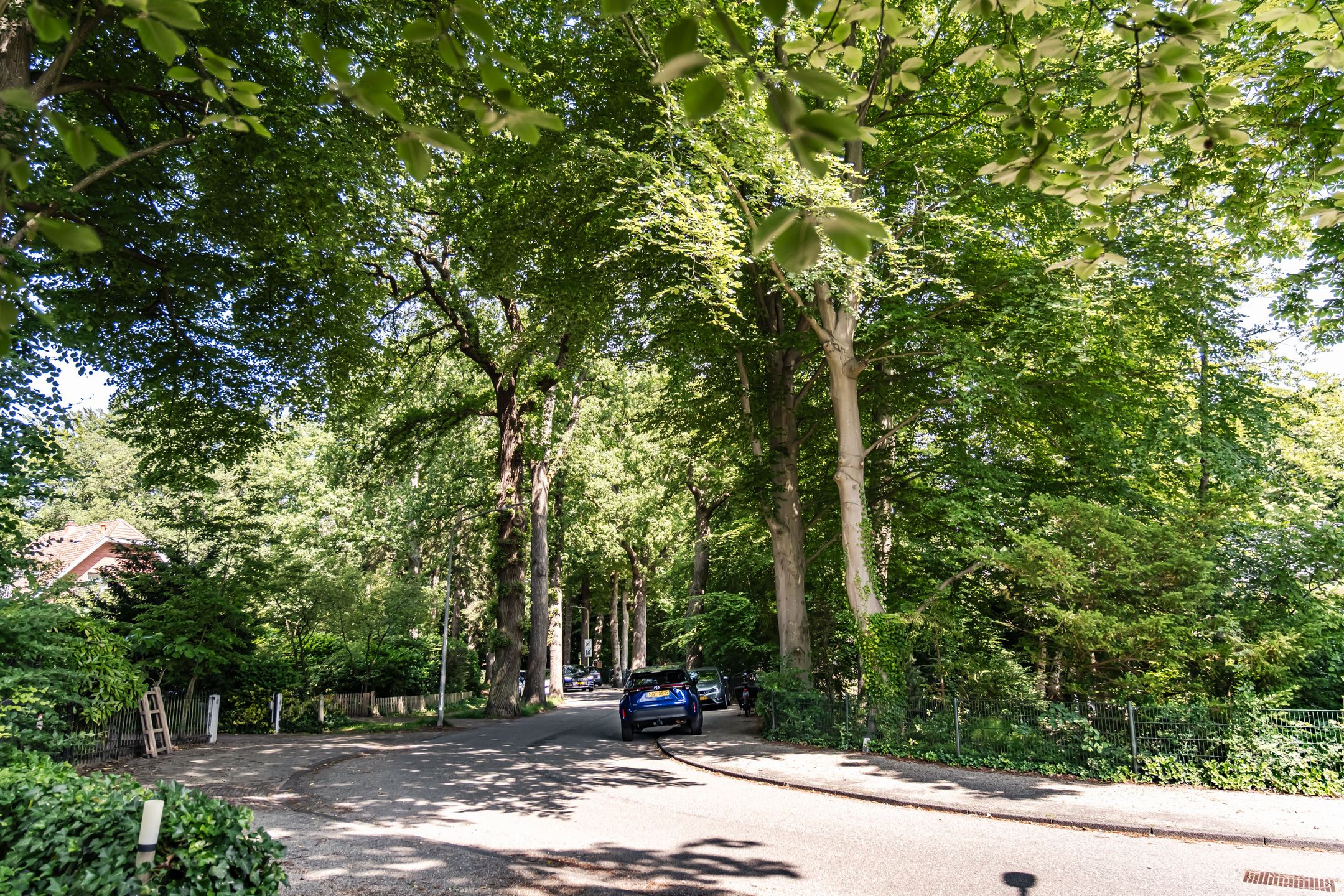 Foto 54 van Teding van Berkhoutlaan 51