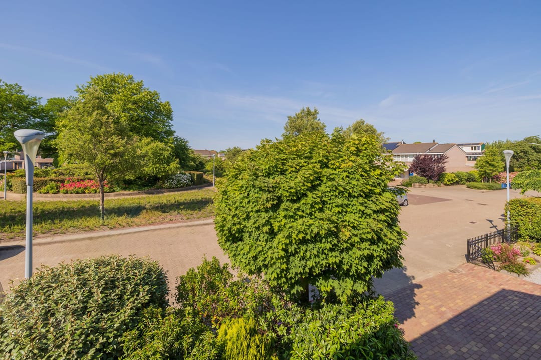 Foto 38 van Roosje Vosplantsoen 10