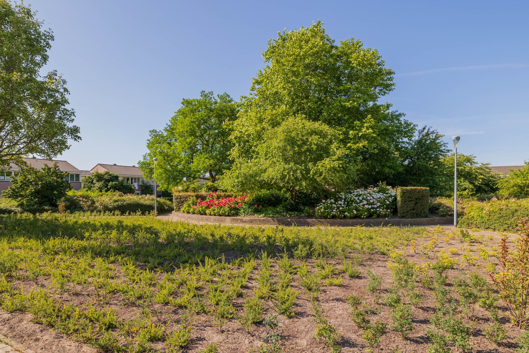 Foto 39 van Roosje Vosplantsoen 10