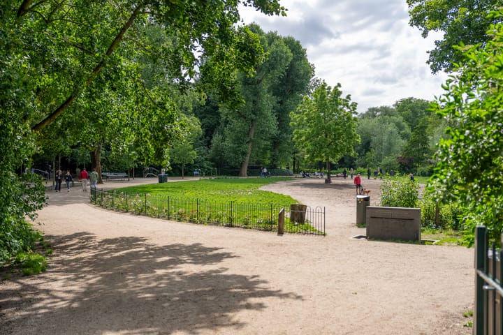 Photo 36 of Albert Cuypstraat 256-1V