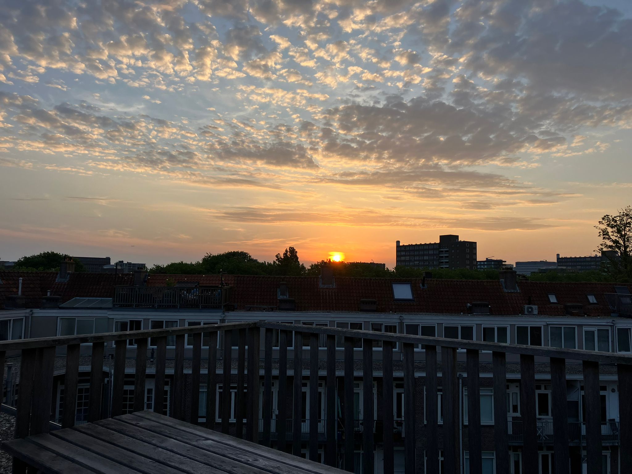 Foto 21 van Rijnsburgstraat 86-3