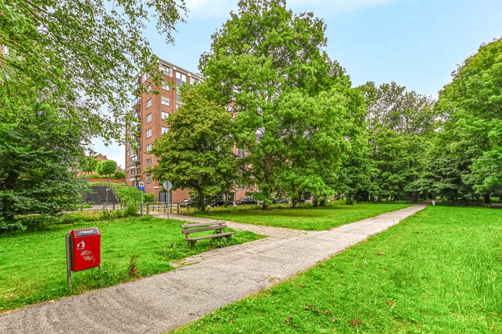 Photo 41 of Via Verdi 143