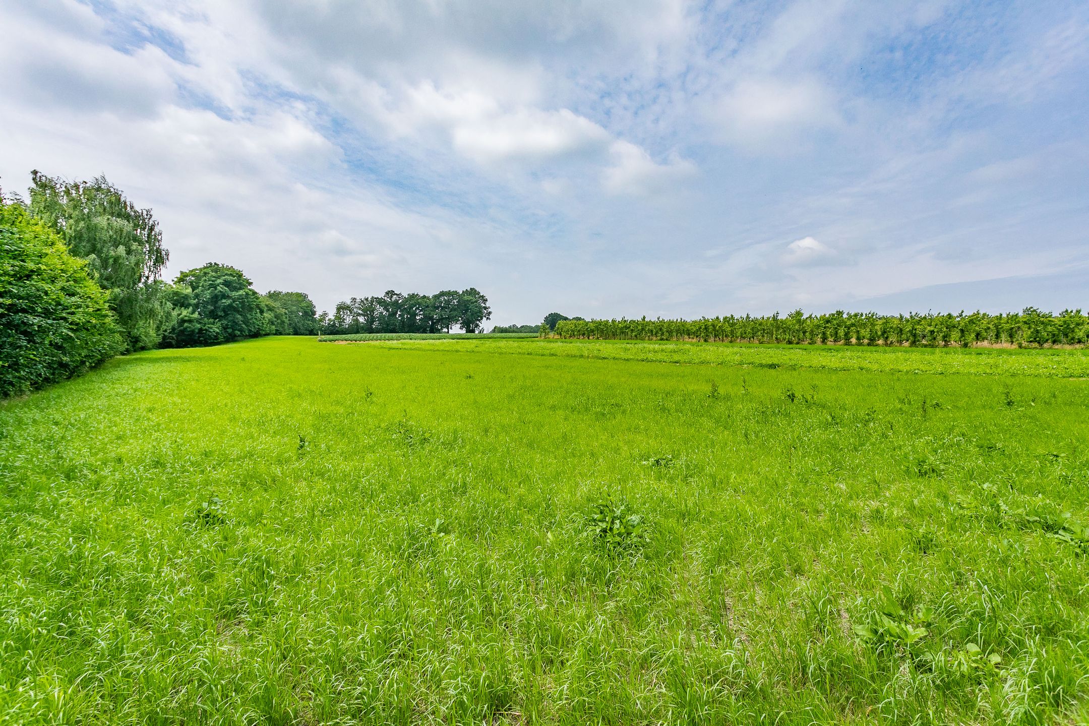 Foto 63 van Dorpsstraat 36