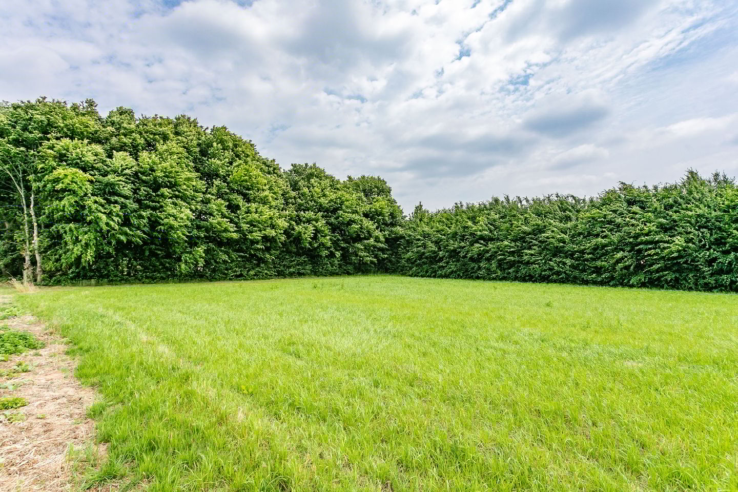 Foto 65 van Dorpsstraat 36