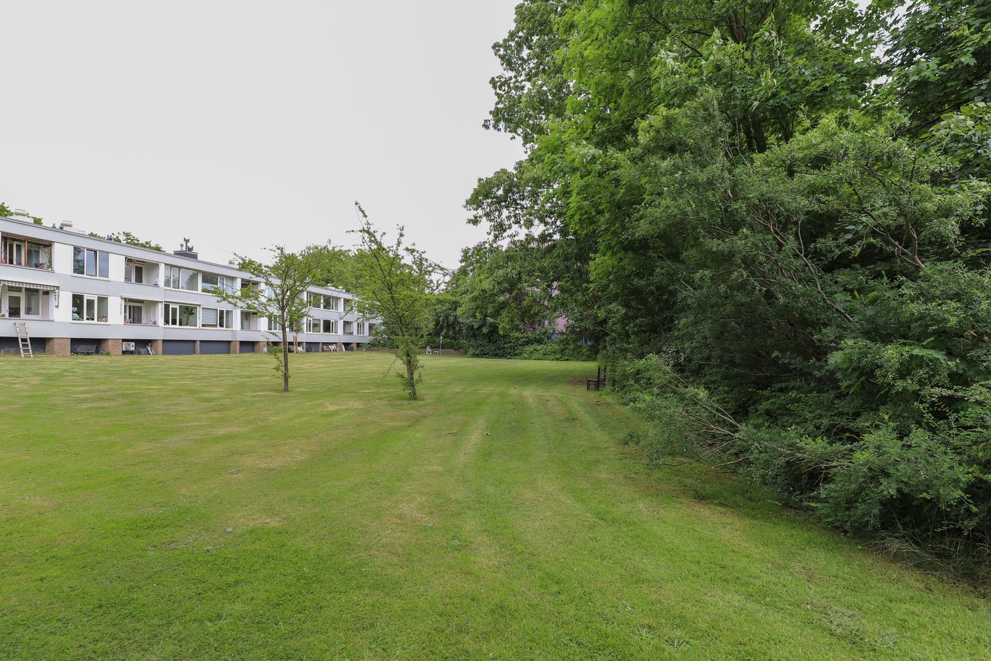 Foto 40 van Valkenburgseweg 42