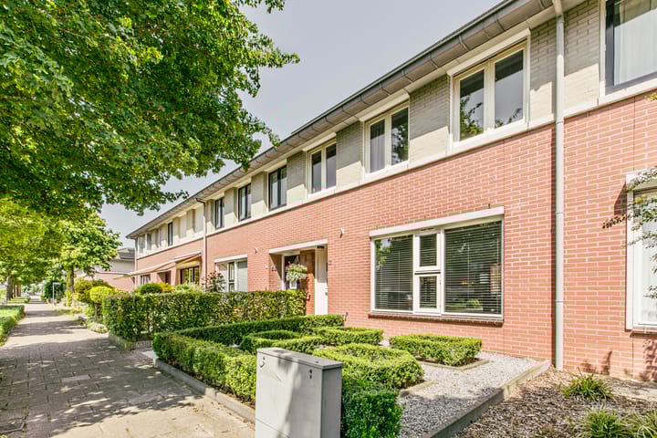 Foto 41 van Laan van Tolkien 66