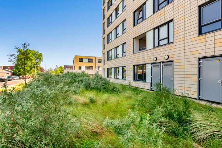 Photo 41 of Galileistate 3