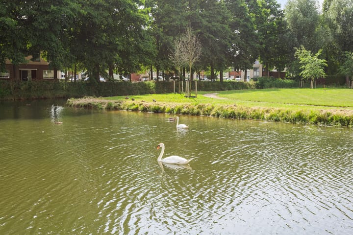 Foto 32 van Sportlaan 43