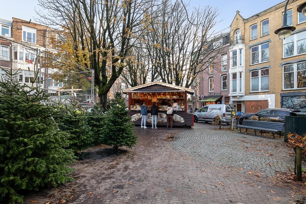 Photo 25 of Johannes Verhulststraat 108-B