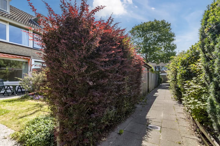 Foto 31 van Beukenrode 95