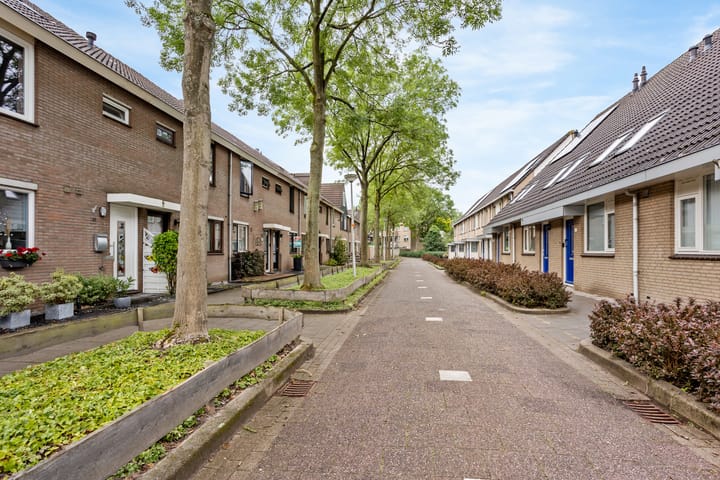 Foto 29 van Anjerveld 21