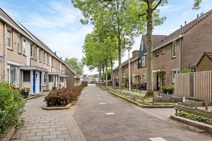 Foto 30 van Anjerveld 21