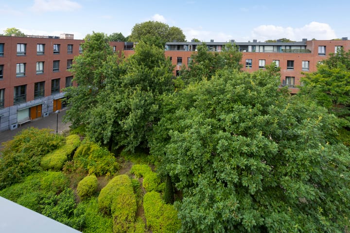 Foto 53 van Boeimeerhof 46