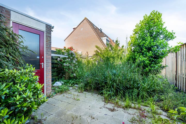 Foto 10 van Salland 3