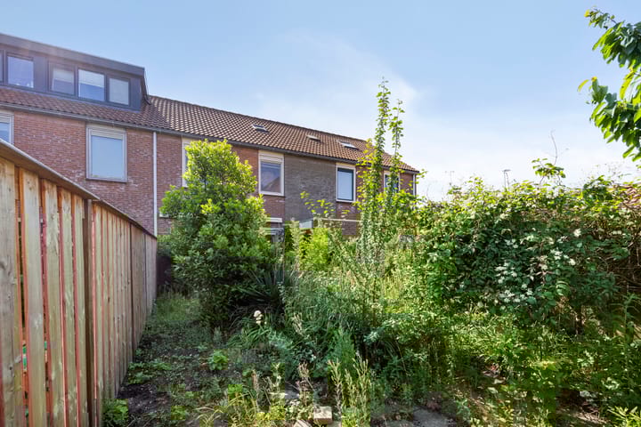 Foto 11 van Salland 3