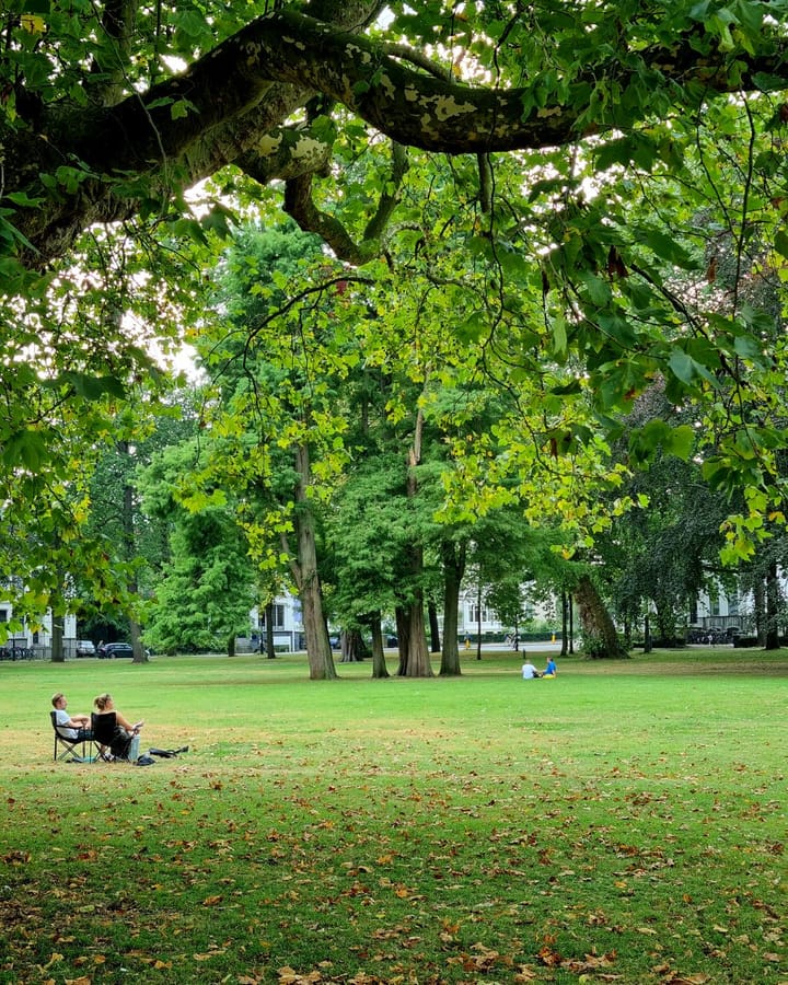 Foto 20 van Parklaan 15-D